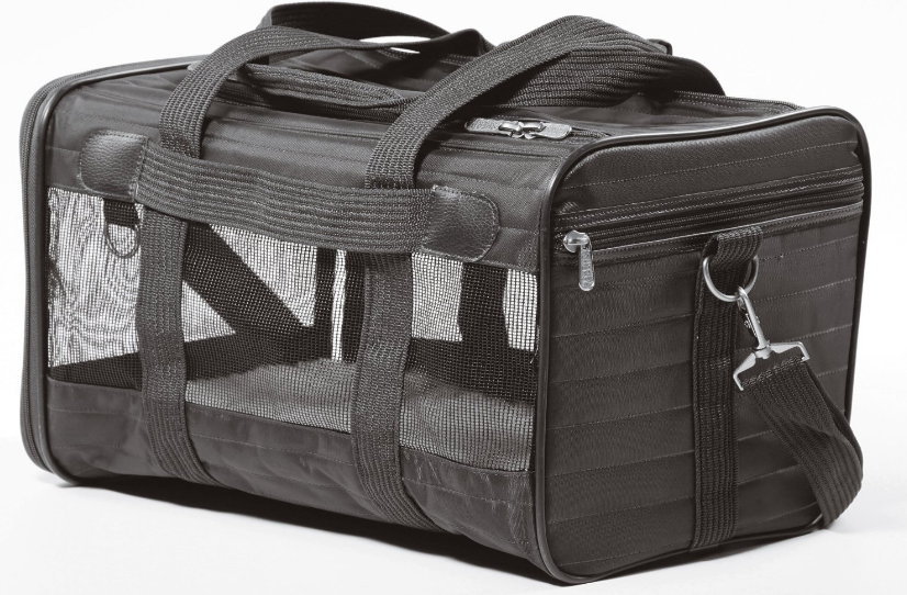 13 musthave NYC dog accessories that are for you as much as your pooch